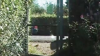 Outdoor Bdsm Action Where Guy And Girl