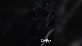 #halloween2019 - The Haunted Forest - Sweet Bunny