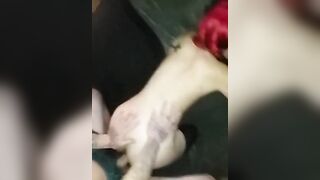 Girlfriend Fucks My Friends