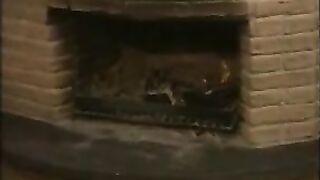 Vintage German Group Sex