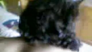 Arab Grunny Anal Fuck