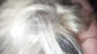 Cute Blonde Milf Seduces And Blows 23 Year Old