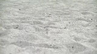 Exhibitionist Brooks