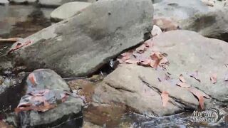 Sex In The Nature. I Found Her Swimming In Waterfall And Fuck. Cim Art-porn