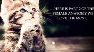 Sekushilover - Celebrity Titties! Titties! Part 2