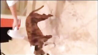 Celebrity Kaley Cuoco Leaked