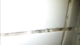 Homemade British Dogging In Public Toilets