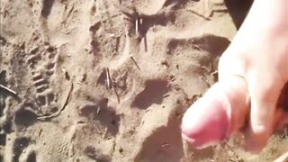 Beach Boys & Girls Compilation