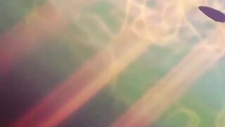 Hentai - One ～true Stories～ Episode 3