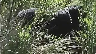 Paulina Galvez - Using A Guy For A Ride