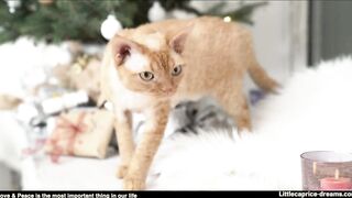 Fuck Me Hard, Because I Need It