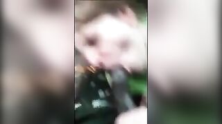 Sucking The Black Cock In The Car