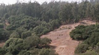 Intimacy Strangers (1979)