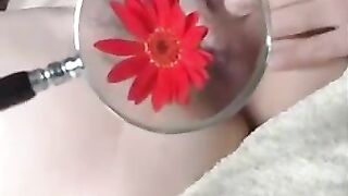 Chubby Wife Flower Decoration