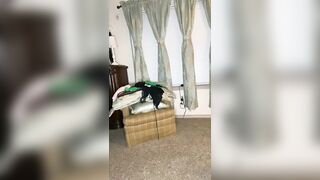 Heidi Lee Bocanegra Onlyfans Exclusive Leaked Porn Video