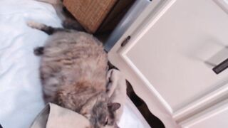 Giannasexo Porn Cam Video 10/01/2021