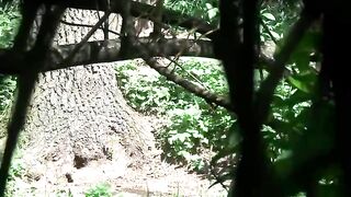 Peeping Cuties Pissing Outdoor