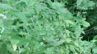 Peeping Cuties Pissing Outdoor