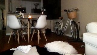 tatii_tatii 10-15-2021 chat porn