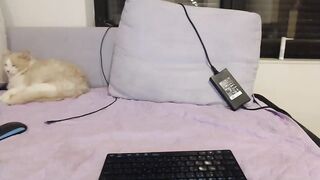 Dirtycouple777 10/16/2021 sex chat cam