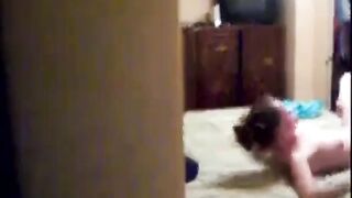 Cuckold Husband Films Hotwife Bull Fucked Big Natural Tits