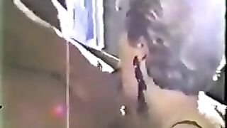 Leashed, Collared Cougar And Black Bull Finale