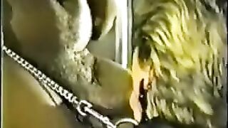 Leashed, Collared Cougar And Black Bull Finale