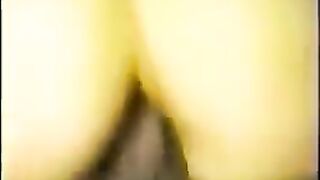 Leashed, Collared Cougar And Black Bull Finale