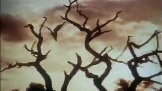 Tarzan The Shame Of Jane In Spanish Xxxx