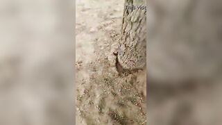 Desi Girl Enjoy With Boyfriend