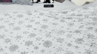 kitty_anniexoxo sex chat cam (01-30-2022)