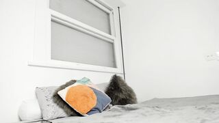 Kaligray10 22-Jul-2022 on webcam