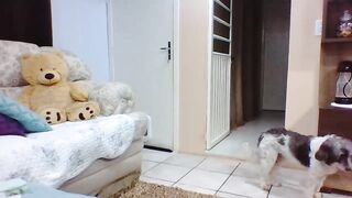 Laylabrasil Free Nude Video 10/09/2022