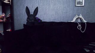 Nicoledom (11/02/2022) Porn Sex Chat