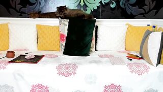 Playfullangelica Nude Cams 01-12-2023