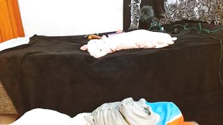 damn_fantasy 01-27-2023 chaturbate cam video