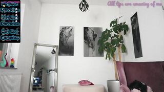 paradise_city__ HD video - (02-23-2023)