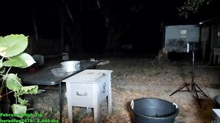 Screenshot from xoxo_caroline's live webcam sex show video