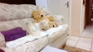 Laylabrasil (04-09-2023) Chaturbate