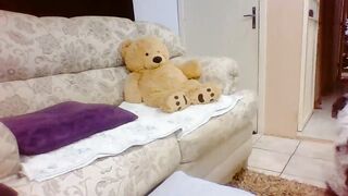 Laylabrasil (04-09-2023) Chaturbate