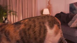 _2strangers 28-Sep-20 Hot Cam Video