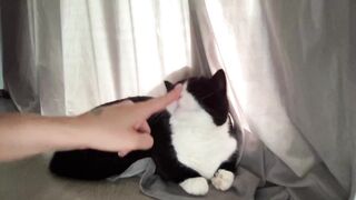 angel_from_sky cam 14 August 2023