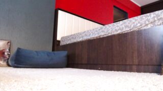 Alanna_gold (11/02/2023) Webcam Video