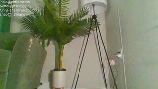 Venicebtchh Webcam Chat 08-Nov-2020