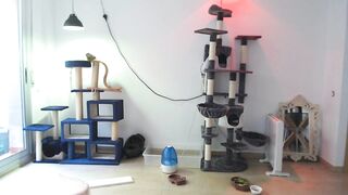 jessica_ashley sex video 28-Jul-2020