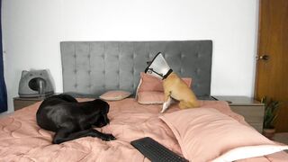 Petite_kitty 07-Aug-2020 Amateur Cam Video