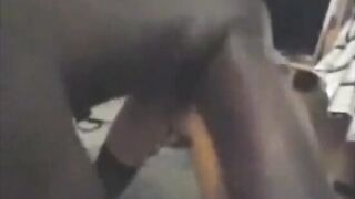 Monstrous Dark-hued Penis Ruins Milky Nymphs Culo Compilation