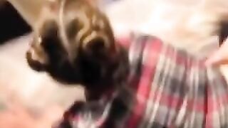 Fucking My Gfs Lil Sister In Law