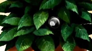 She Wants That Penis Inwards Her