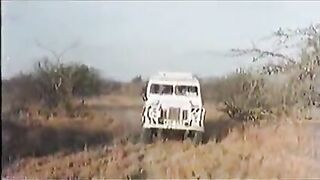 African Giant Penises !real Safari!